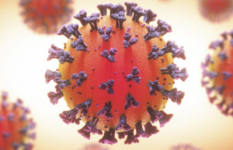 septic service covid19