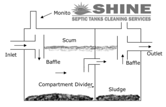 Shine Seotic ideal Design