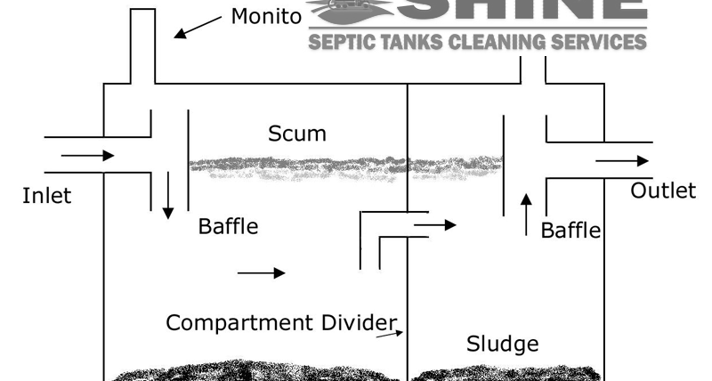 Shine Seotic ideal Design