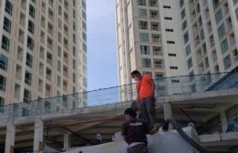 Marcopolo Septic Services